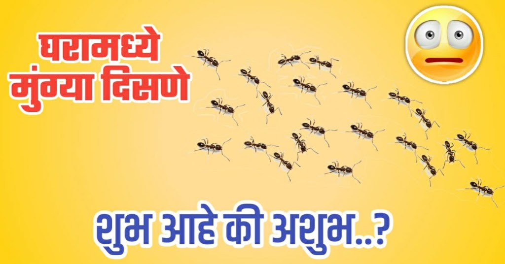 जर तुमच्या घरात मुंग्या आहेत तर समजून जा तुमच्या सोबत घडणार असे काही….