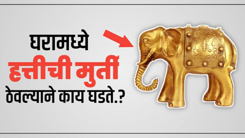 घरामध्ये हत्तीची मूर्ती ठेवल्यावर काय होते..? परिणाम जाणून हैराण व्हाल..!