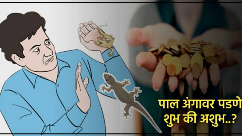 शरीराच्या या भागावर पाल पडणे असते खूपच शुभ; होऊ शकतो मोठ्या प्रमाणात धनलाभ..!