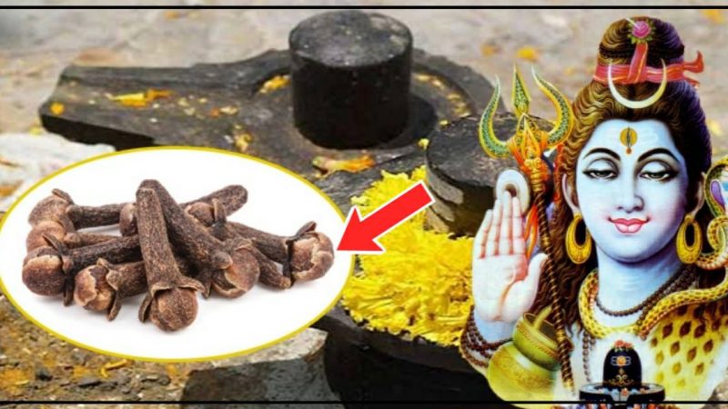 कोणतंही मोठं दुःख नाहीसे करेल भगवान शंकराचा हा लवंगाचा उपाय; धनाची होईल भरभराट..!