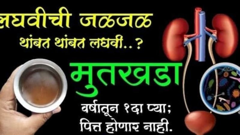 भयंकर पित्त आणि ल घवीची होणारी जळजळ यापासून त्रस्त असाल तर हा उपाय एकदा नक्की करून पहा..!