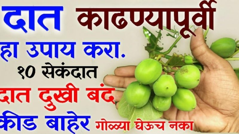 दात काढण्यापूर्वी हा रामबाण उपाय एकदा नक्की करा; १० सेकंदात दातदुखी बंद आणि कीड होईल नाहीशी.!