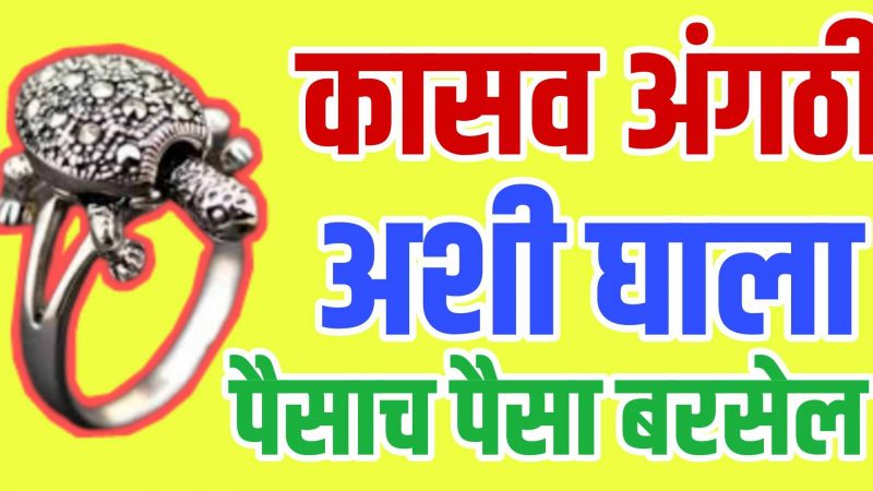 या बोटात घाला कासवाची अंगठी; पैसा इतका येईल कि संभाळताही येणार नाही.!