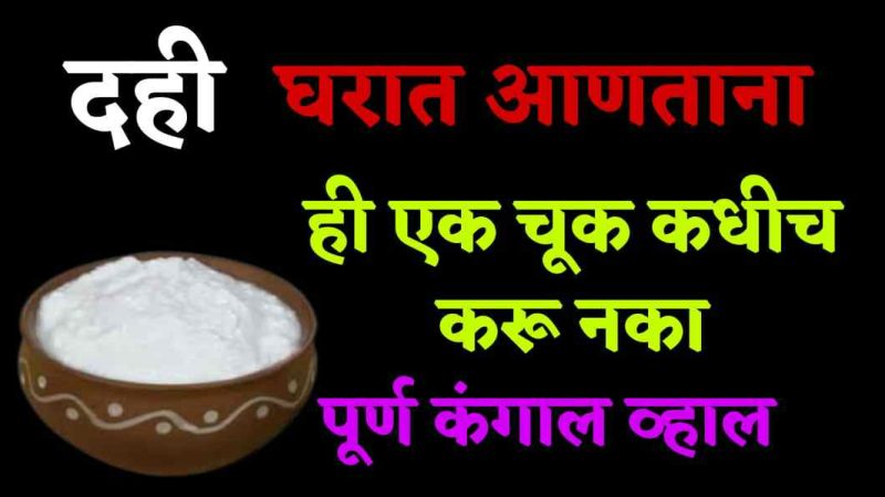 दही घरात घेऊन येताना ही एक चूक कधीच करू नका; लक्ष्मी घर सोडून कायमची निघून जाईल.!