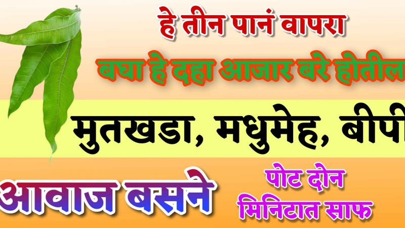 हि ३ पाने वापरून झटक्यात होतील हे १० आजार बरे; मुतखडा, मधुमेहयासारखे आजार होतील कायमचे नाहीसे.!