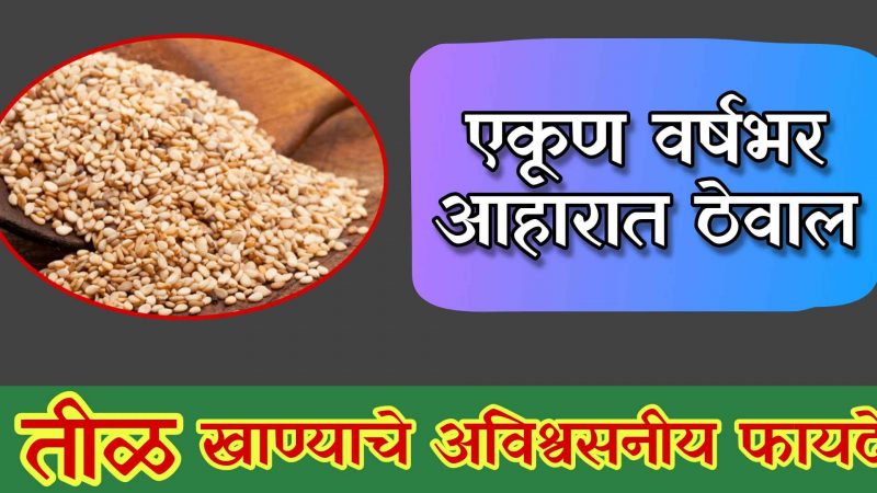 फक्त मकरसंक्रातीतच नव्हे तर इतर दिवशीही आहारात असुद्या तीळ; होतील हे चमत्कारिक फायदे.!