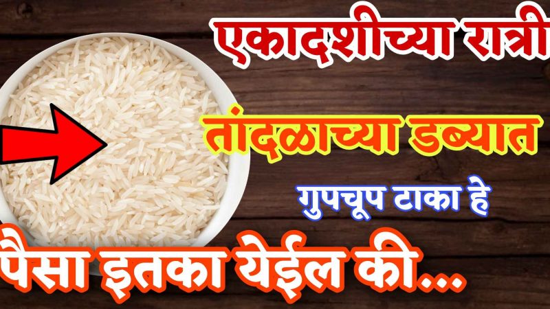 एकादशीच्या रात्री गुपचूप डब्ब्यात टाका “हे”; प्रत्येक कष्ट दूर करतील भगवान विष्णू.!