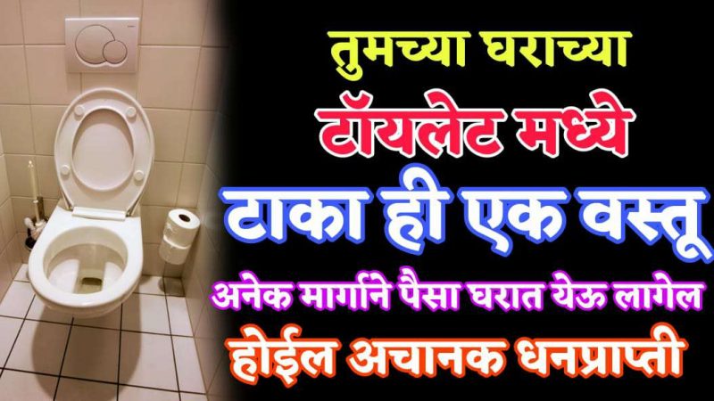 तुमच्या घराच्या टॉ-यले’टमधे टाका फक्त हि १ वस्तू; घरात अनेक मार्गांनी पैसा येऊ लागेल.!