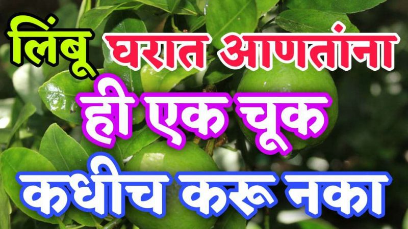 लिंबू मिरची घरात खरेदी करून आणताना हि चूक कधीच करू नका; घर होईल कायमचे बरबाद.!