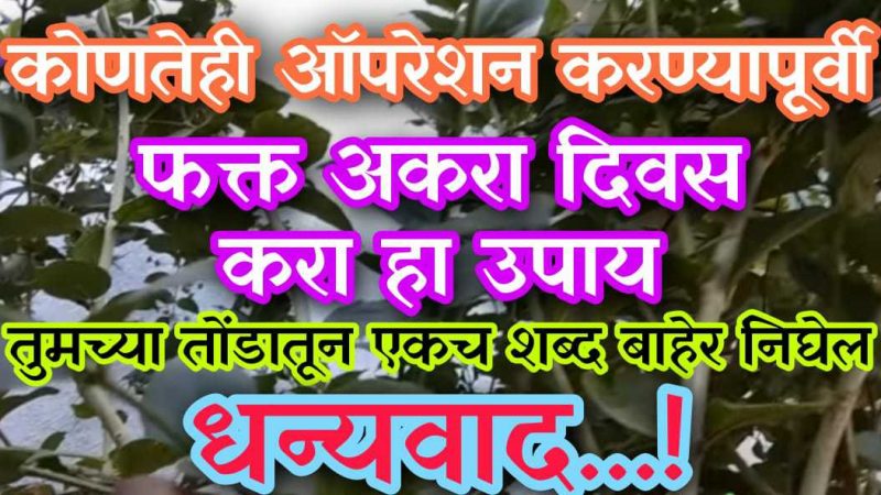 कोणतेही ऑपरेशन करण्यापूर्वी फक्त ११ दिवस करा हा उपाय; कंबर दुखी, पाठ दुखी, सांधेदुखी फक्त ११ दिवसात गायब.!