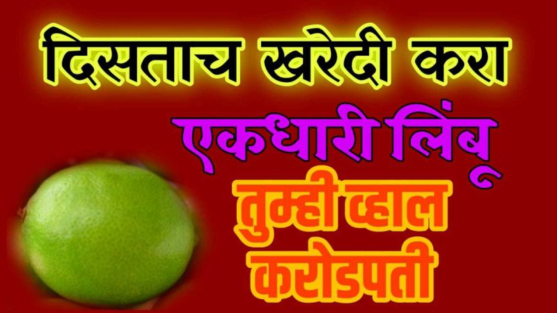 मार्केटमध्ये दिसताच त्वरित खरेदी करा एक धारी लिंबू; राजासारखे आयुष्य जगाल.!