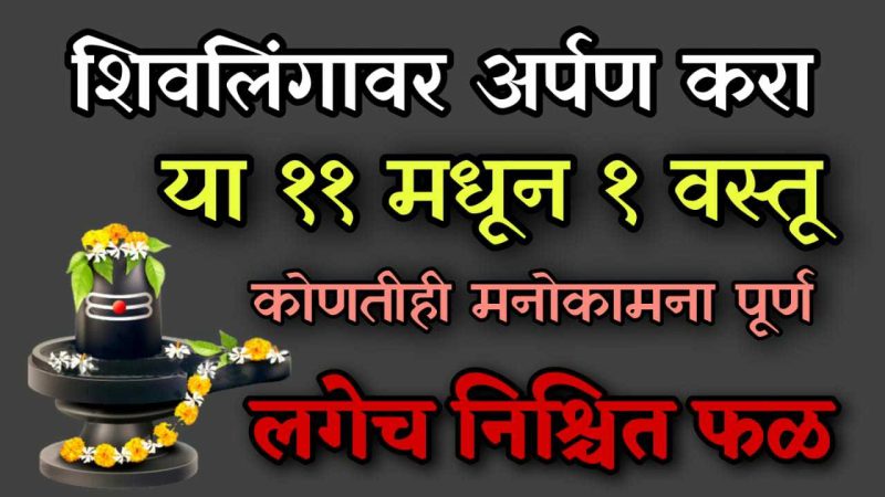 शि-वलिं’गावर अर्पण करा या वस्तू; कोणतीही मनोकामना लवकरच होईल पूर्ण..!
