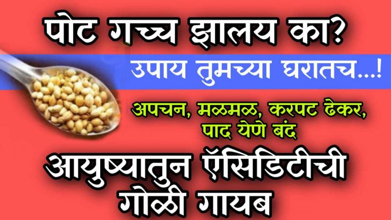 घरातील फक्त हे २ पदार्थ वापरा; मरेपर्यंत अपचनाचा त्रास होणार नाही; भूक वाढेल आम्ल पित्त त्रास होईल मुळापासून गायब.!