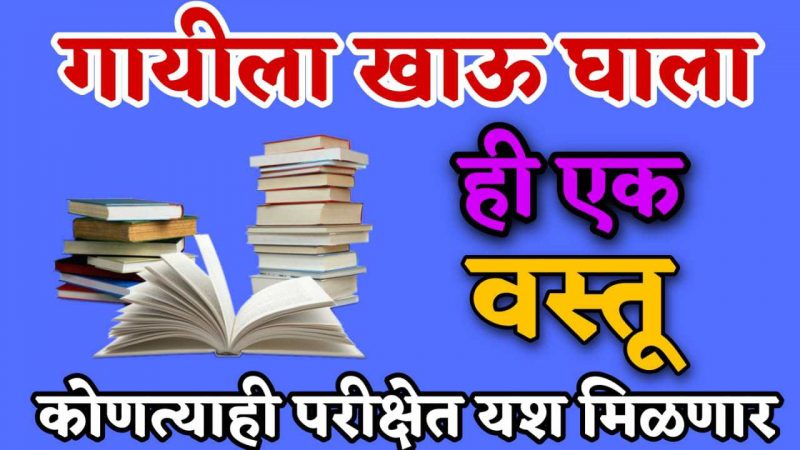 गायीला खाऊ घाला फक्त ही १ वस्तू; कोणत्याही परीक्षेत यश नक्की मिळेल.!
