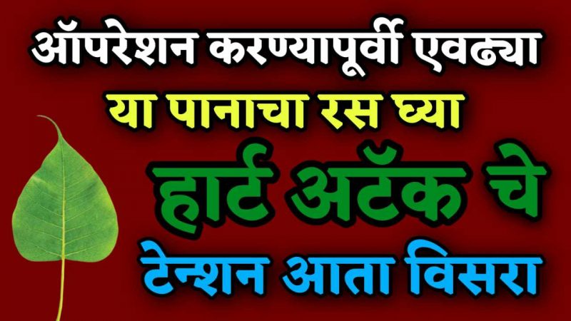 या पाल्याचा रस घ्या ब्लॉकेज १००% निघून जातील; ऑपरेशनची कधीच गरज भासणार नाही.!
