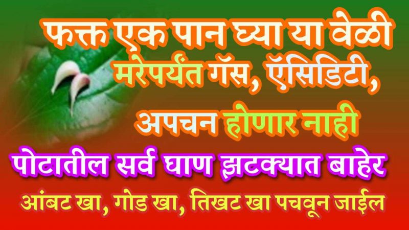 यावेळी फक्त १ खाऊचे पान खा; आयुष्यात कधीही पित्त, गॅस ,पोट साफ साठी चूर्ण घ्यावे लागणार नाही.!