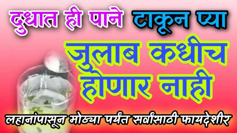 दुधात हि पाने टाकून पियाल्यावर २ मिनिटांतच जुलाब लागलेली बंद होईल.!