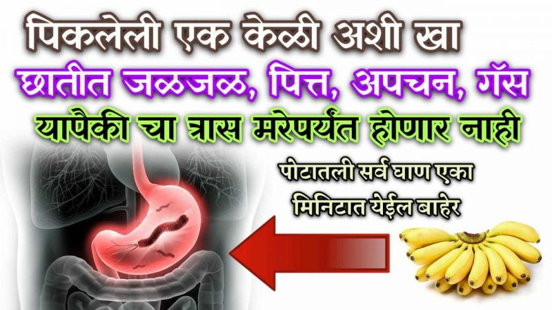 पिकलेली एक केळी याप्रमाणे खा; आयुष्यात कधीही पित्त, गॅस ,पोटदुखी साठी गोळी व चूर्ण घ्यावे लागणार नाही.!