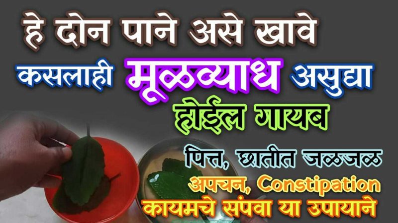 हि २ पाने अशाप्रकारे खा; कसल्याही प्रकारचा मुळव्याध सात दिवसात होईल बरा.!