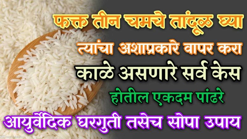 फक्त ३ चमचे तांदूळ असे वापरा; पांढरे केस काळे करणारा असा आयुर्वेदिक घरगुती उपाय.!