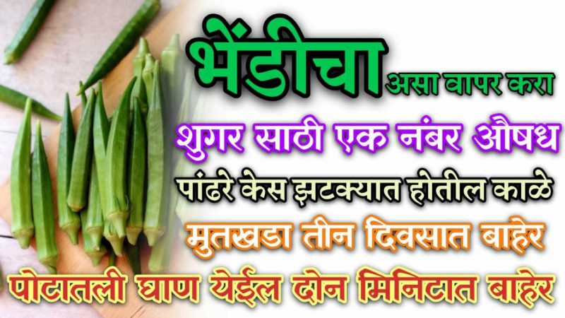 भेंडी चा करा असा वापर; शुगर ,मुतखडा वजन कमी ,पांढरे डाग होतील लवकर नाहीसे.!