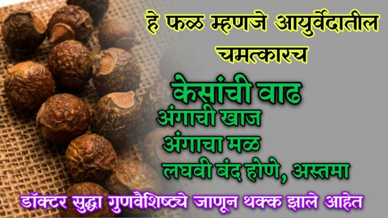 आयुर्वेदातली चमत्कारी आहेत हि फळे; केसांची वाढ, अंगाची खास यासारखे प्रॉब्लेम्स झटक्यात होतील नाहीसे.!