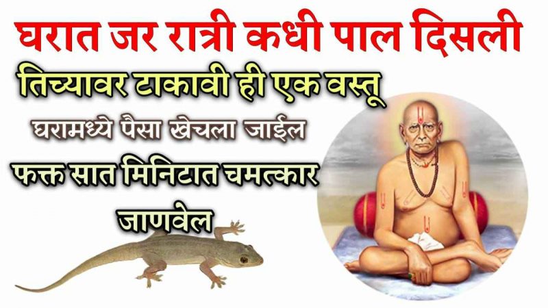 घरात रात्री पाल दिसताच तीच्यावर टाका ही वस्तू; घरात इतका पैसा येईल कि मोजणं अशक्य होईल.!