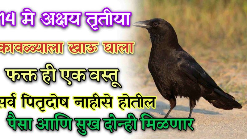 14 मे अक्षय तृतीयेला कावळ्याला खाऊ ही 1 वस्तू; सर्व पितृदोष नष्ट होऊन प्रचंड पैसा मिळेल.!