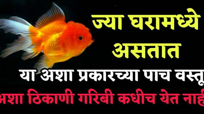 ज्या घरात असतात या 5 वस्तू तिथे गरिबी येत नाही; तुमच्या घरामध्ये आहेत का या वस्तू.?