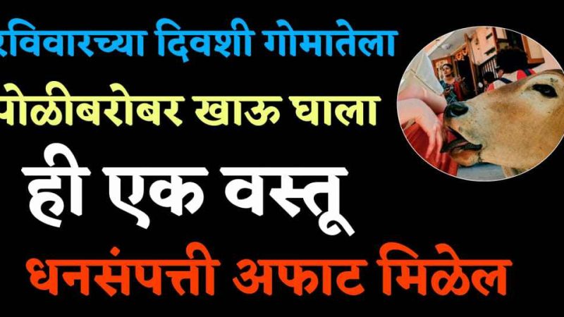 रविवारी गाईला पोळी सोबत खाऊ घाला ही थोडीशी वस्तू; आयुष्यात अपार सुख व धन मिळत राहील.!