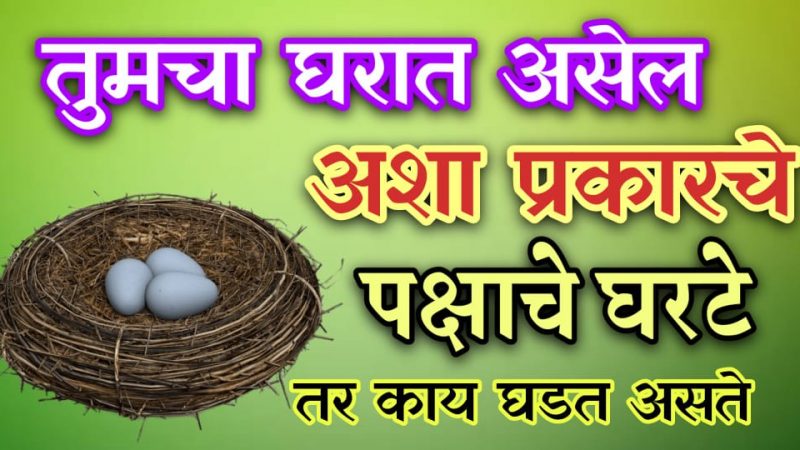 जर तुमच्या घरात पक्ष्याने घरटे बनवले तर तुम्हाला मिळतायत हे संकेत; नाहीतर होईल पच्छाताप.!
