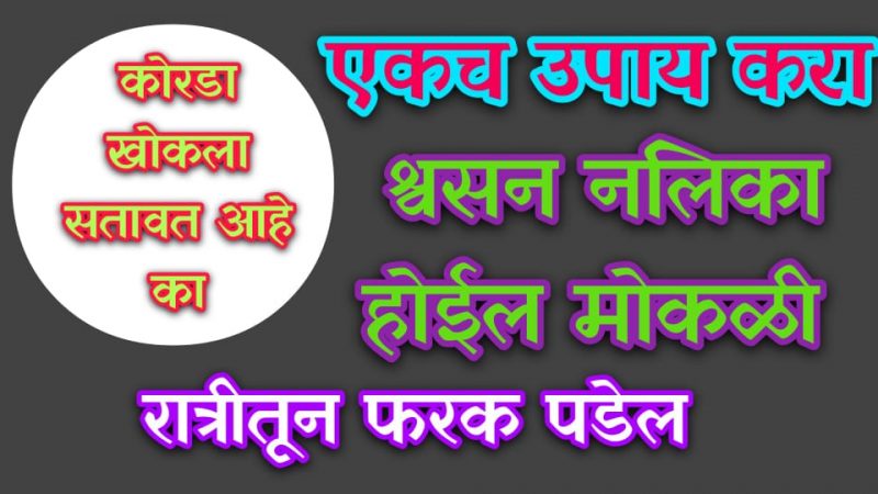 सध्या ही एक काडी 1 वेळ तरी घ्या; फुफ्फुसे निरोगी रहातील, श्वसन नलिका साफ होऊन कोरडा खोकलाही निघून जाईल.!