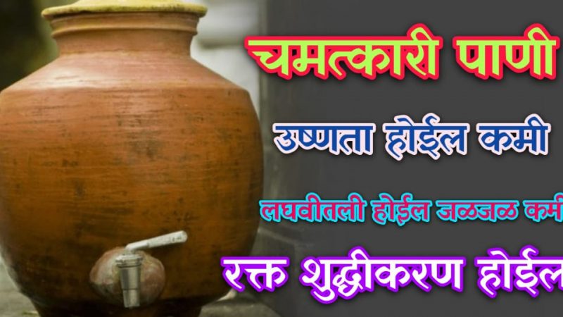 फक्त 21 दिवस अशा पद्धतीने पाणी प्या; शरीरातील उष्णता कमी होऊन र’क्त’ही होईल शुद्ध.!