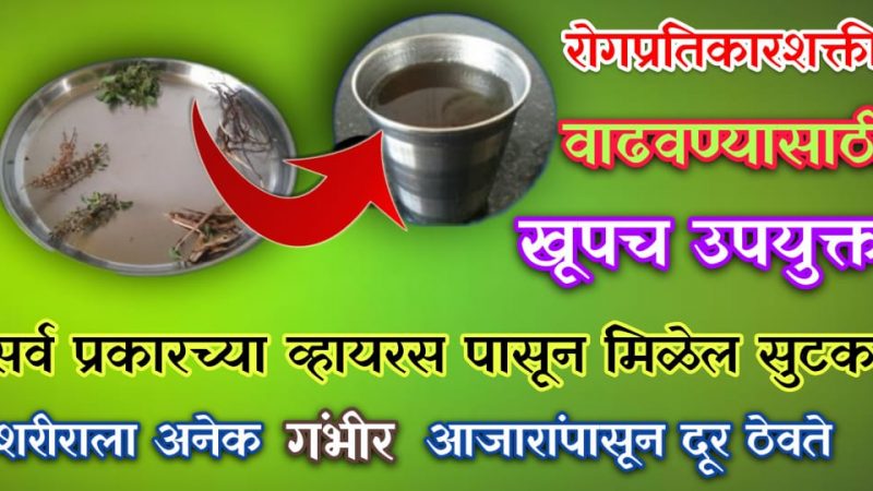 इम्युनिटी वाढविण्यासाठी प्या तुळशीचा काढा; सर्व प्रकारच्या व्हा’यर’स पासून मिळेल कायमची सुटका.!