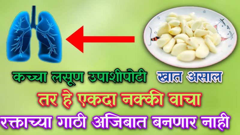 कच्चा लसूण उपाशीपोटी खात असाल तर हि माहिती एकदा नक्की वाचा; मिळतील असे फायदे जे तुम्ही कधी ऐकलेही नसतील.!