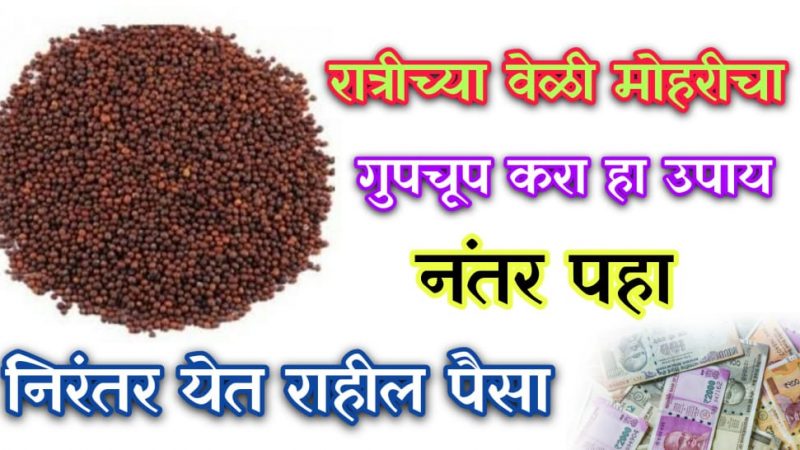 रोज रात्री झोपण्यापूर्वी करा हा काळया मोहरीचा उपाय; मग पहा घरात कधीच पैशाची कमी पडणार नाही.!