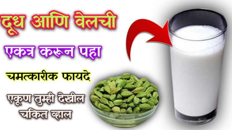 दुधात वेलची मिसळल्याने होतात हे चमत्कारिक फायदे; होणारे फायदे ऐकून तुम्हालाही शॉक बसेल.!