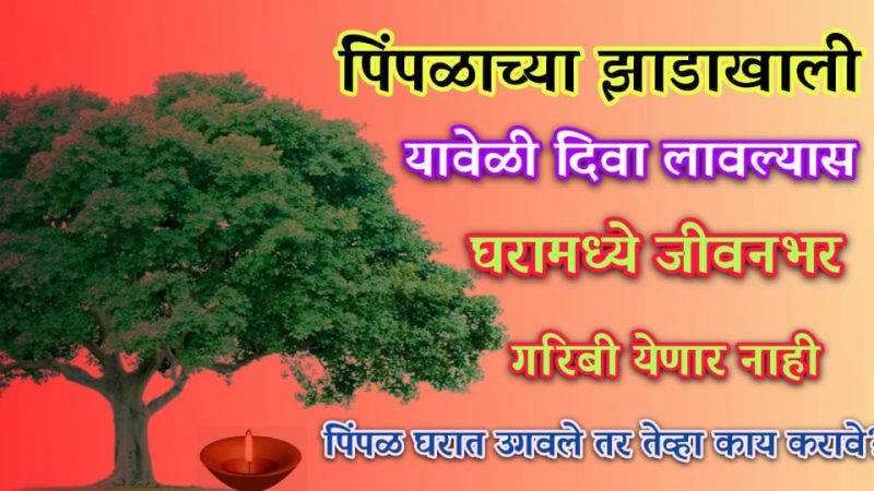 पिंपळाच्या झाडाखाली या वेळी दिवा लावा; घरातील गरिबी नाहीशी होऊन घर नेहमी प्रसन्न राहील.!
