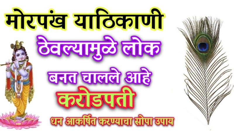 मोरपंख “या” जागी ठेवल्याने लोक बनत आहेत करोडपती; हे आहेत मोरपंखाचे चमत्कारी उपाय.!