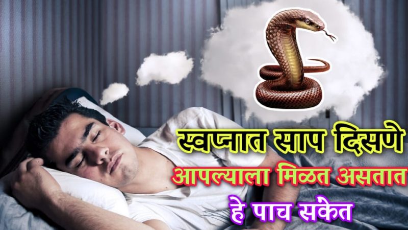 तुम्हालाही स्वप्नात साप दिसतात का.? यामागील अर्थ जाणून घेण्यासाठी ही माहिती अवश्य वाचा.!