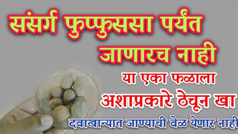 घशातील संसर्ग फुप्फुसापर्यंत जाणार नाही; ही फळे ठेचून खा, रोगप्रतिकारशक्ती होईल दुप्पट, ऑक्सिजन लेवल देखील वाढेल.!
