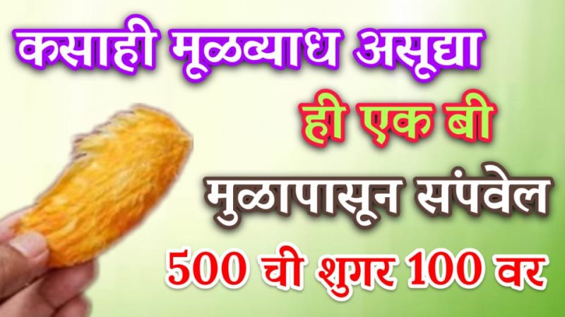 कोणताही मूळव्याध समूळ संपवते ही एक बी; शुगर नॉर्मल होऊन रोगप्रतिकारक शक्तीही वाढेल.!