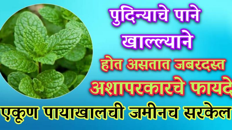 पुदिन्याची पाने खाल्ल्याने त्यापासून होणारे फायदे ऐकून तुमच्या पायाखालची जमीन सरकेल.!
