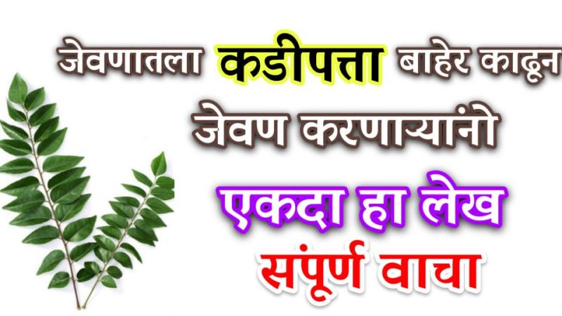 जेवताना कडीपत्ता काढून टाकत असाल तर हा लेख नक्की वाचा; नाहीतर येईल पच्छाताप करण्याची वेळ.!