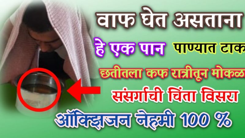 वाफ घेताना पाण्यात टाका हे पान; कफ, घसा ठीक होऊन ऑक्सिजन हि राहील नॉर्मल.!