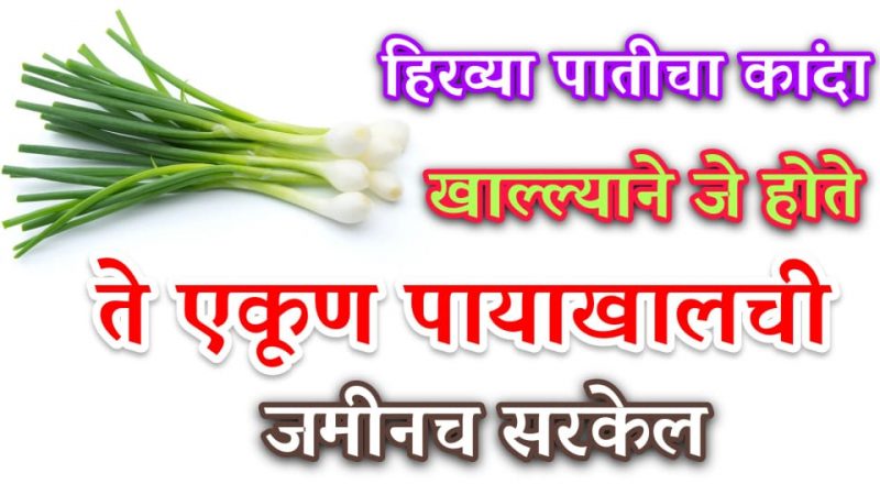 हिरव्या पातीचा कांदा खाल्ल्याने जे होते ते ऐकून तुमच्या पायाखालची जमीनच सरकेल.!