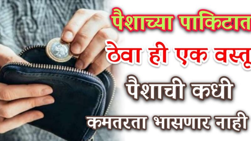 तुमच्या पॉकेट मध्ये ठेवा ही 1 वस्तू; माता लक्ष्मीची सदैव तुमच्यावर कृपा राहील.!
