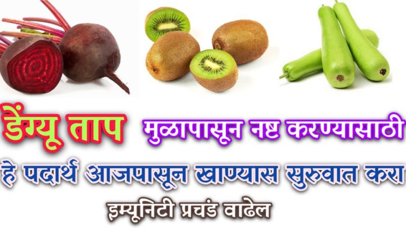 रोगप्रतिकारक शक्ती झटपट वाढवणारे पदार्थ; डेंग्यू या सारखे आजार होतील लवकर दूर.!