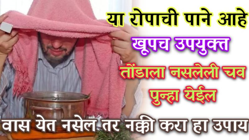तोंडाला चव नसेल व वास येत नसेल तर लगेच करा हा चमत्कारी घरगुती उपाय.!