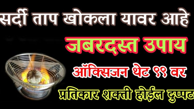 प्रतिकारशक्तीचा खजाना आहे हे एक फळ; सर्दी, ताप, खोकला यासारखे आजार त्वरित करते गायब.!